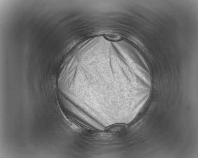 X0000062870849200601271554