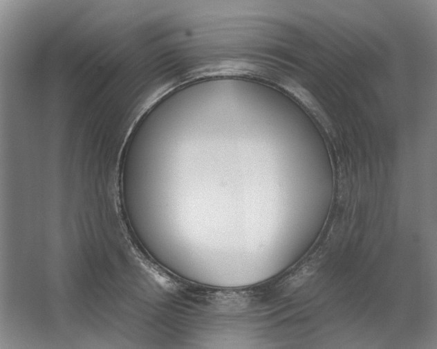 X0000062870850200601271554