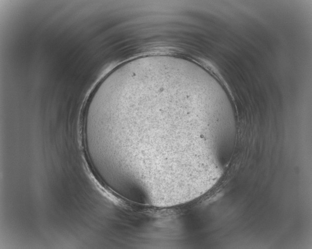 X0000062870851200601271554