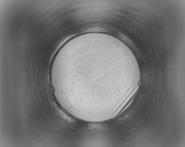 X0000062870852200601271554