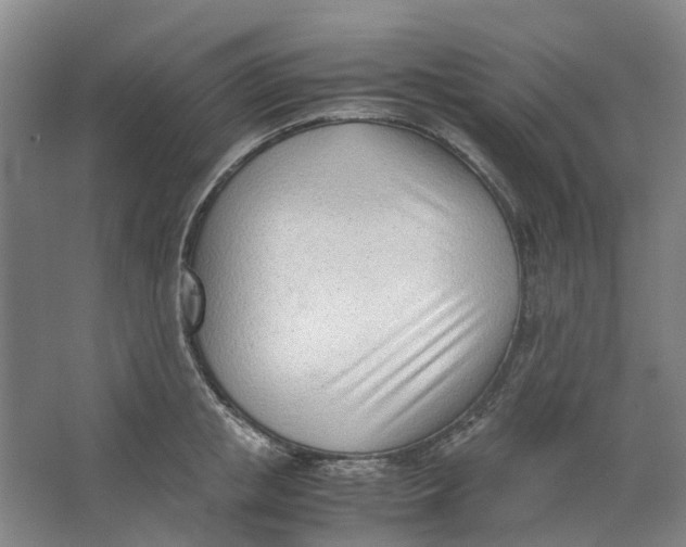 X0000062870853200601271554