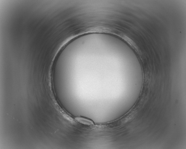 X0000062870854200601271554