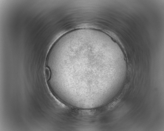 X0000062870855200601271554