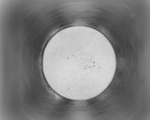 X0000062870856200601271554