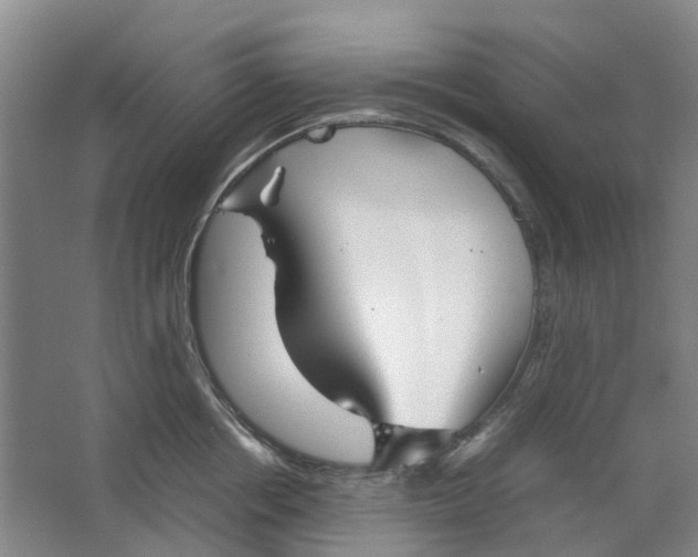 X0000062870858200601271554