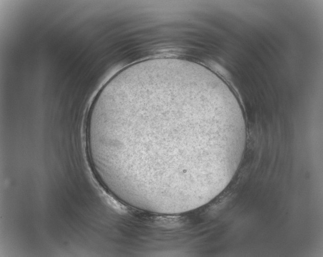 X0000062870859200601271554