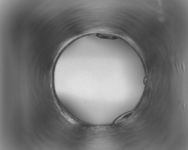 X0000062870862200601271554