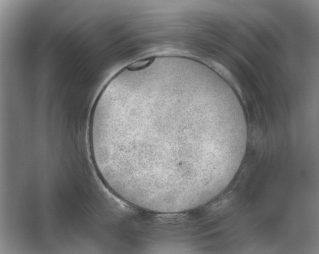 X0000062870863200601271554