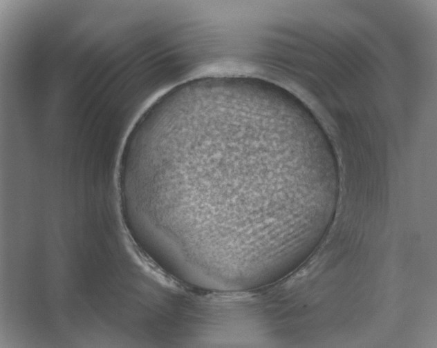 X0000062870864200601271554