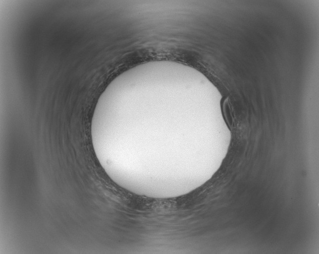 X0000062870865200601271553