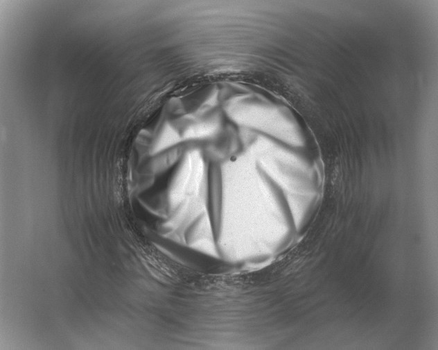 X0000062870868200601271553