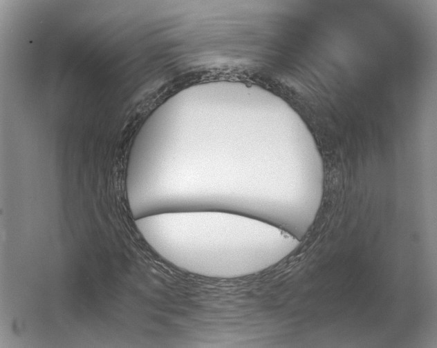 X0000062870869200601271553