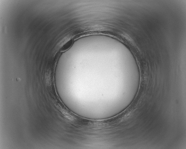 X0000062870873200601271553