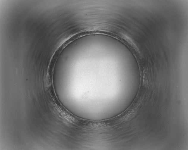 X0000062870876200601271553