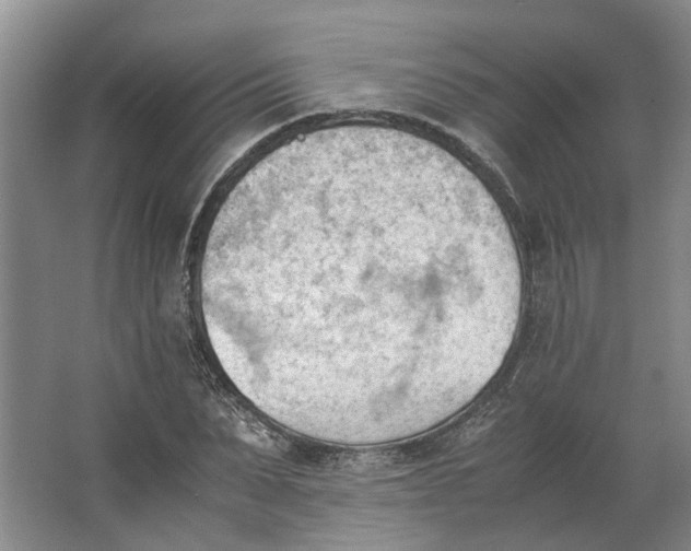 X0000062870879200601271553