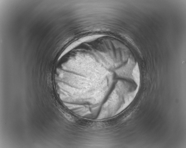 X0000062870881200601271553