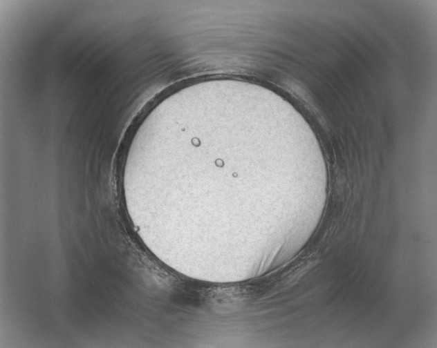 X0000062870883200601271553