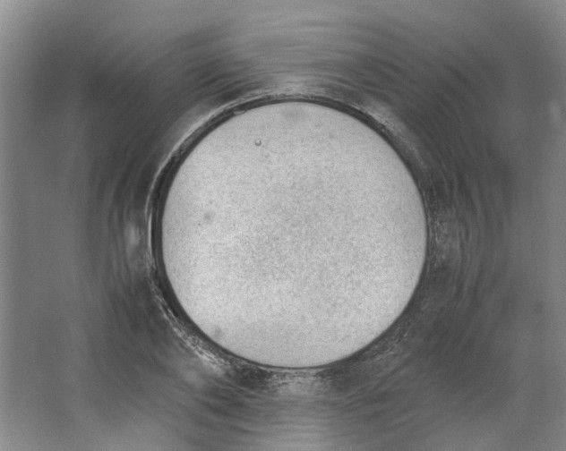 X0000062870886200601271553