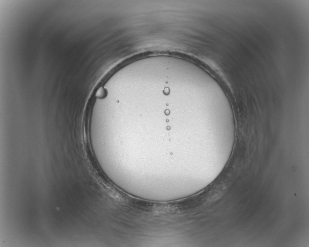 X0000062870887200601271553