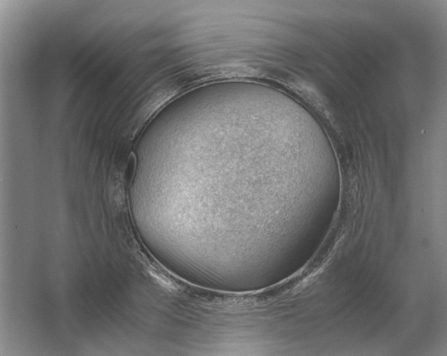 X0000062870889200601271553