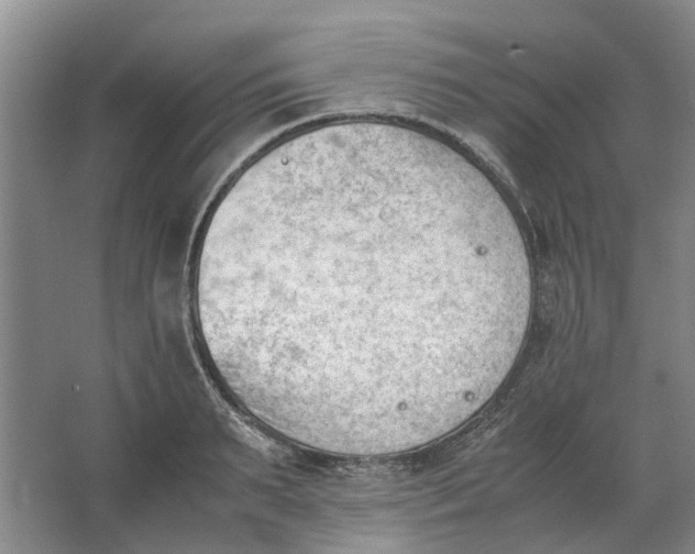 X0000062870895200601271553