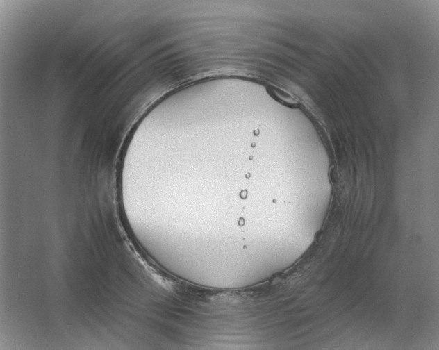 X0000062870898200601271553