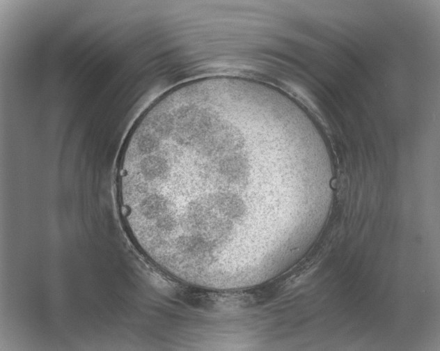 X0000062870899200601271553