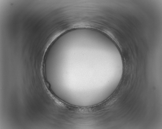 X0000062870901200601271553