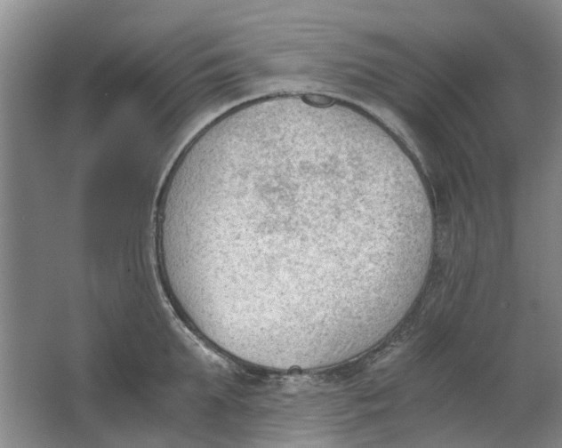 X0000062870903200601271553