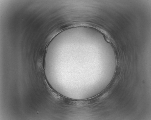 X0000062870905200601271553