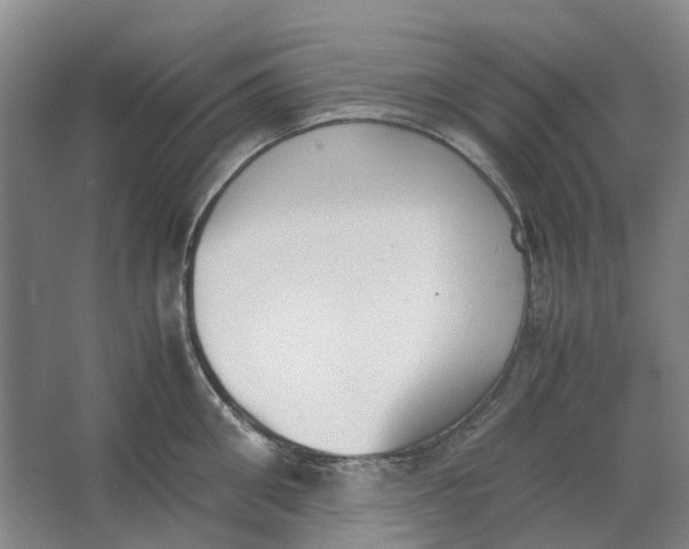 X0000062870906200601271553