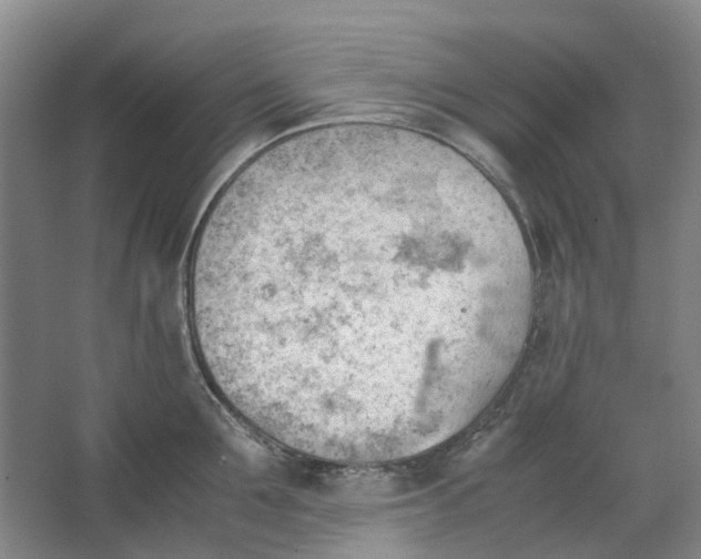 X0000062870907200601271552