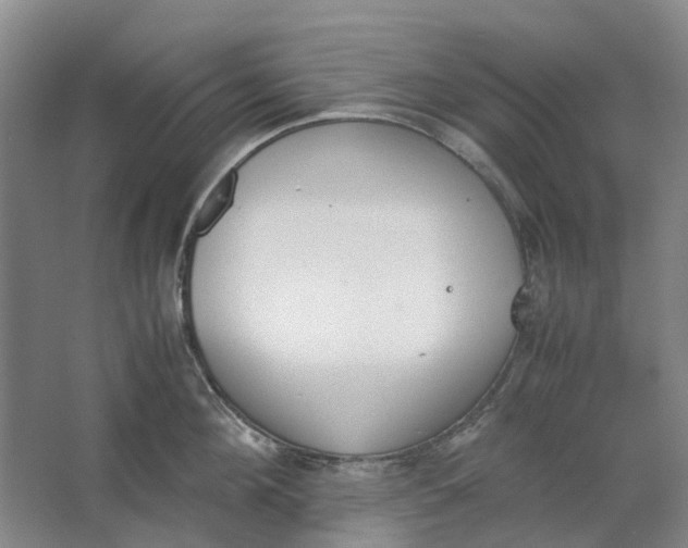 X0000062870908200601271552