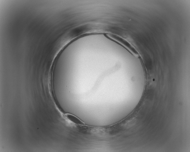 X0000062870909200601271552