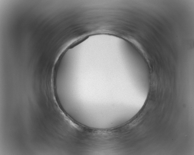 X0000062870910200601271552