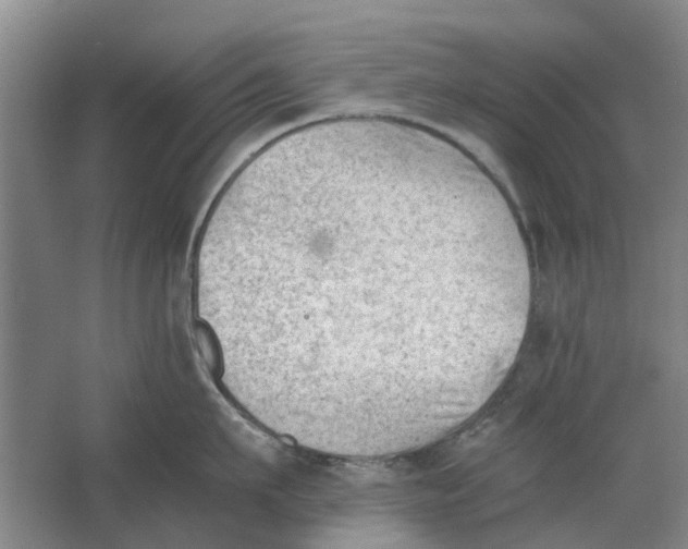 X0000062870911200601271552