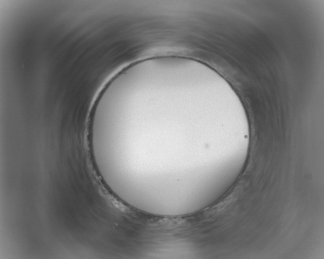 X0000062870912200601271552