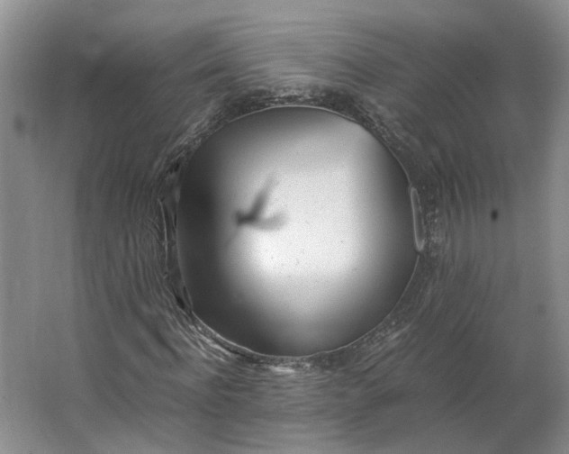 X0000062870916200601271552