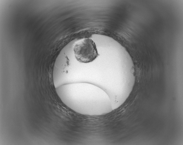 X0000062870917200601271552