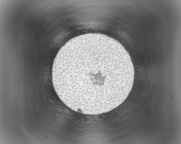 X0000062870918200601271552