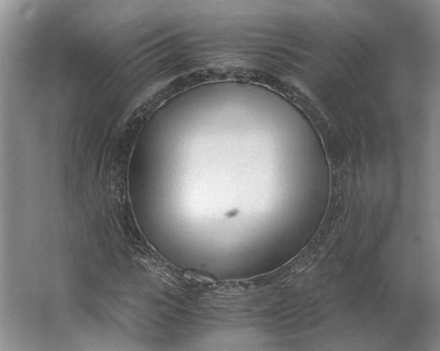 X0000062870919200601271552