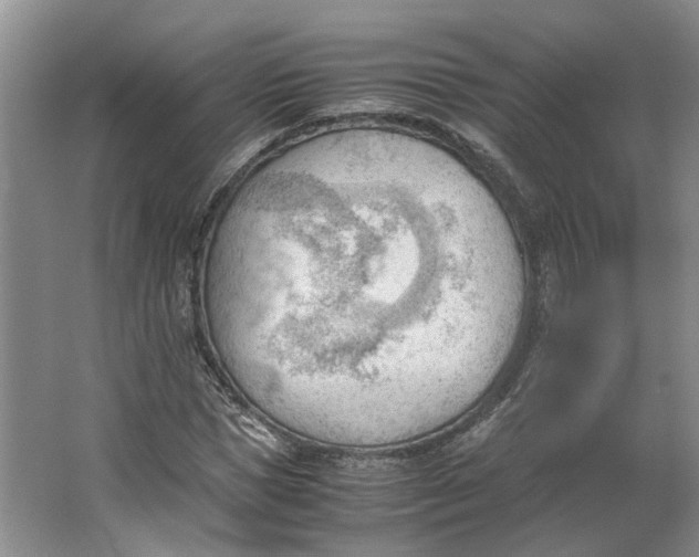 X0000062870921200601271552