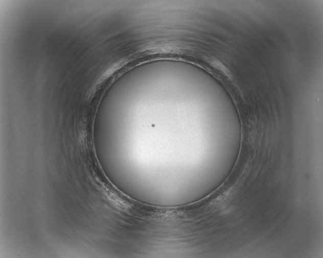 X0000062870922200601271552