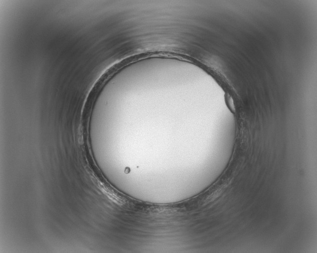 X0000062870924200601271552