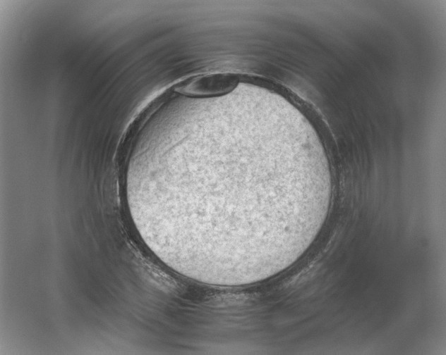 X0000062870925200601271552