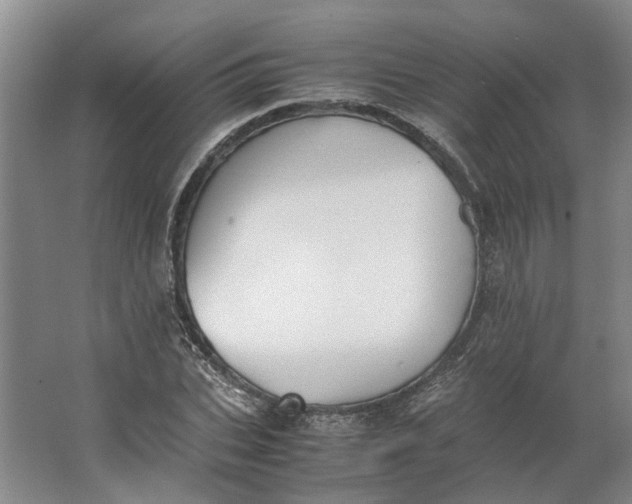 X0000062870927200601271552