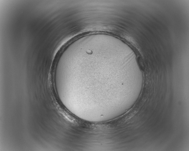 X0000062870928200601271552