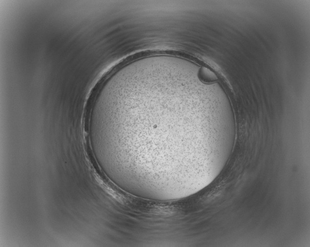 X0000062870935200601271552