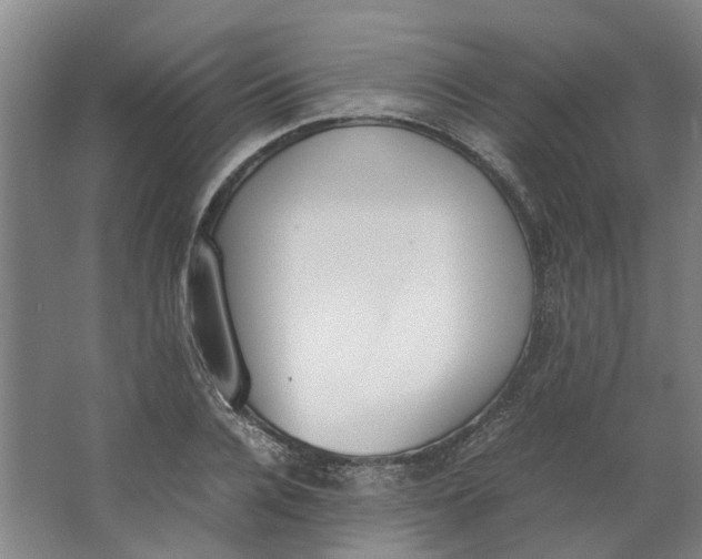 X0000062870936200601271552