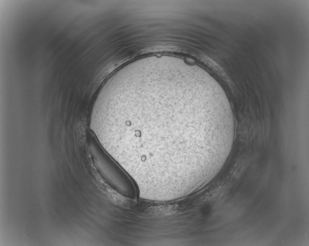 X0000062870937200601271552